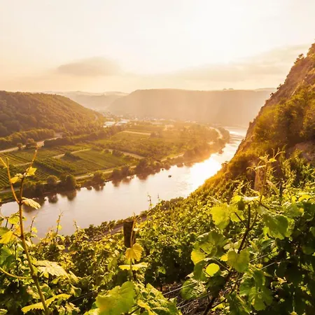別荘 Mosel-herz *