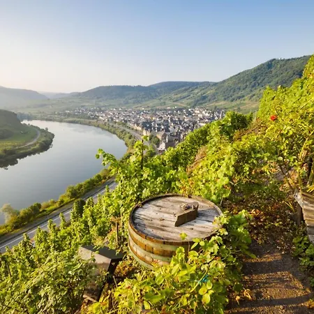 Holiday home Moselliebe Trier