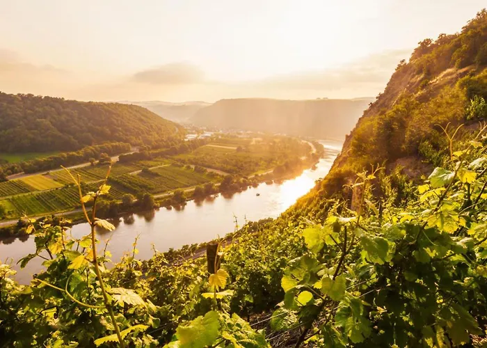 Holiday home Mosel-herz *